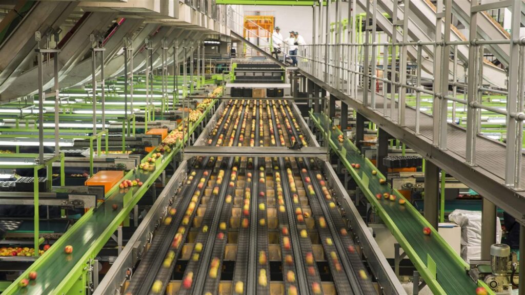 Food Safety Compliance