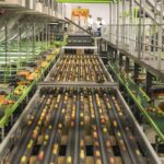 Food Safety Compliance